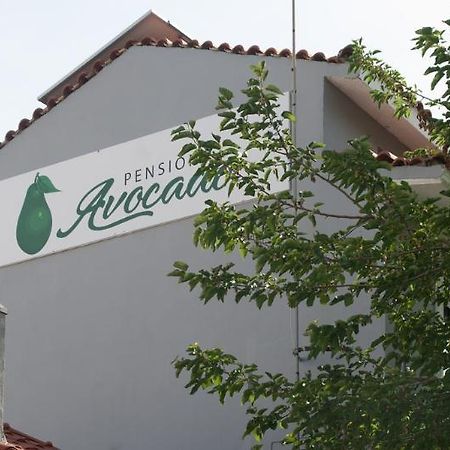 Pension Avocado Skiathos Town Exterior photo